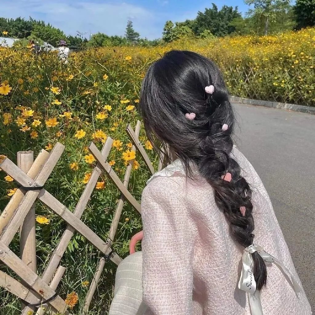 米奇和海豹