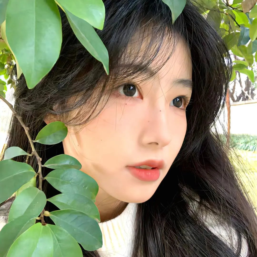 艳丽娇娃